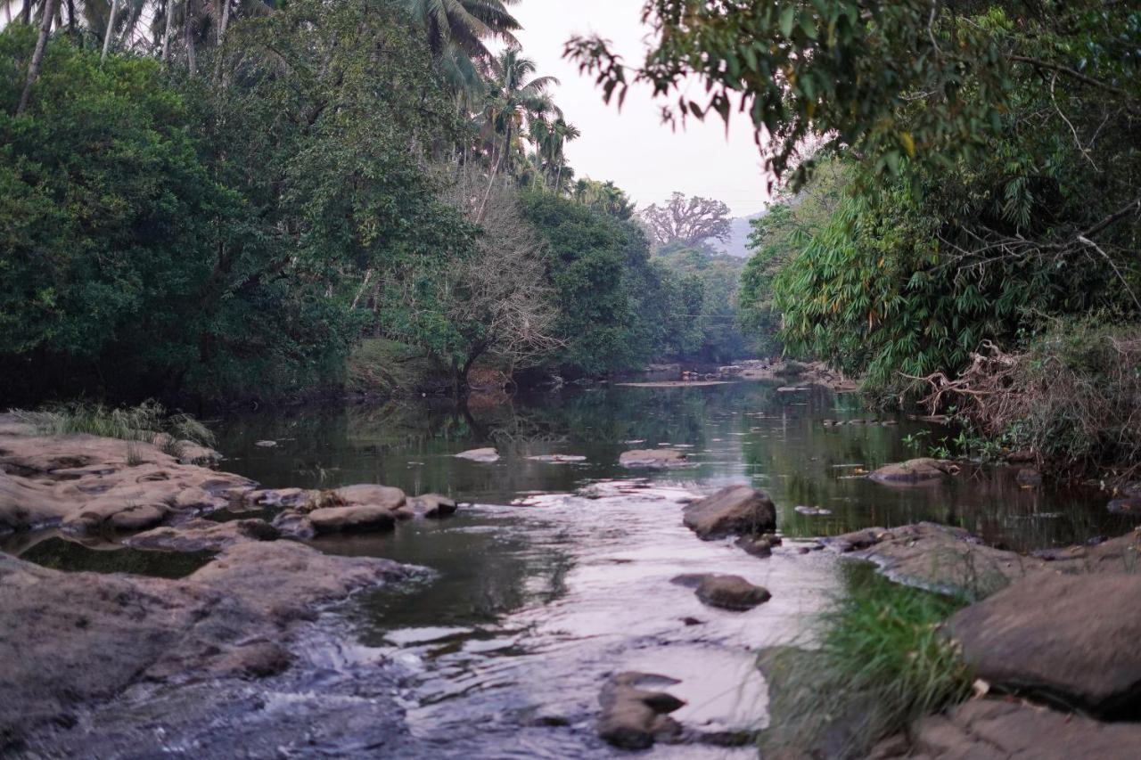 Athirapilly On The Rocks Hotel Athirappilly Buitenkant foto