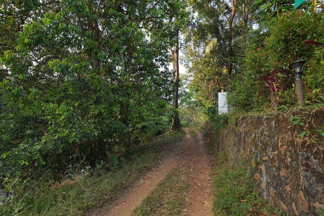 Athirapilly On The Rocks Hotel Athirappilly Buitenkant foto