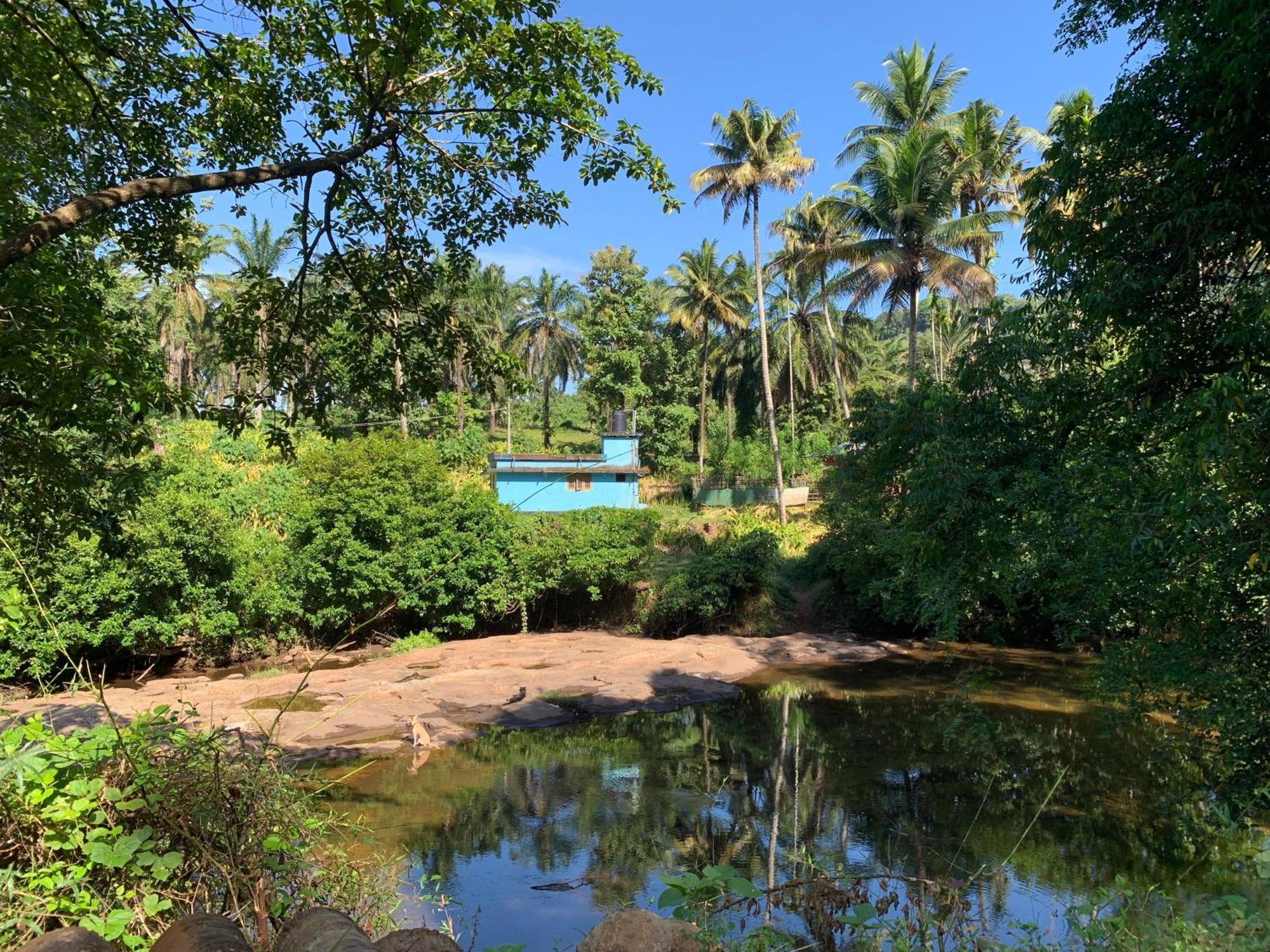 Athirapilly On The Rocks Hotel Athirappilly Buitenkant foto